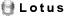 Lotus by IBM